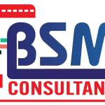 BSMN Consultancy