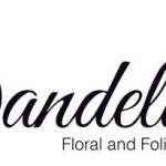 Dandelion Florist