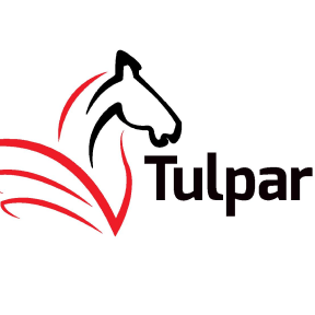 Tulpar Global   Taxation