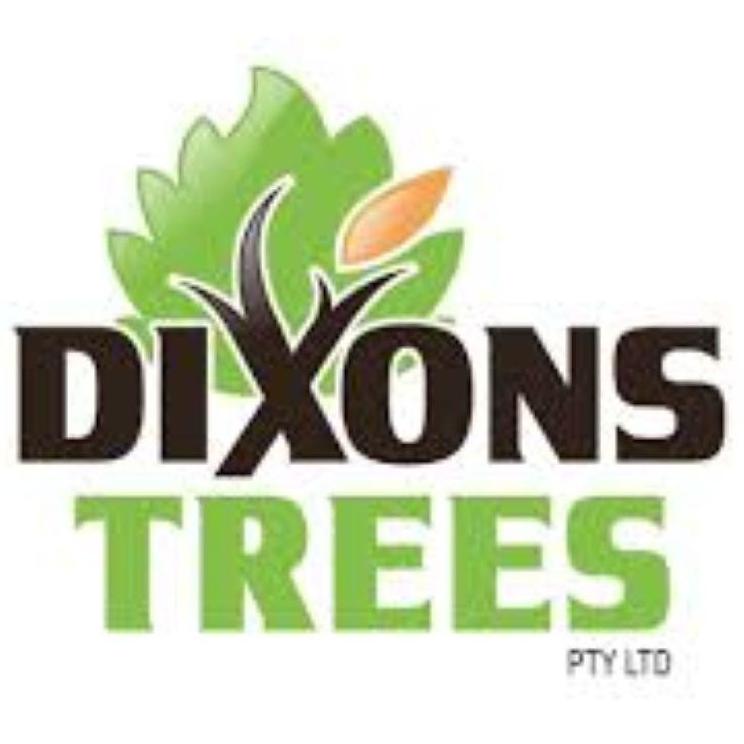 Dixon's Trees