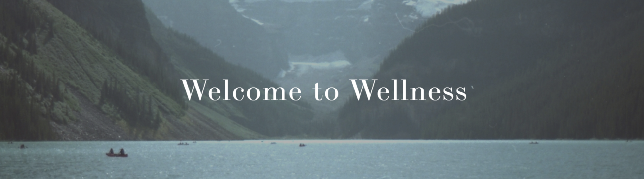 WHOLE Wellness Therapy Services