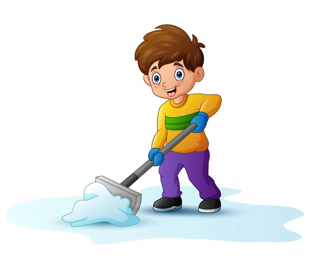 Your Guide to Professional Bond Cleaning in Ashgrove: Get Your Bond Back