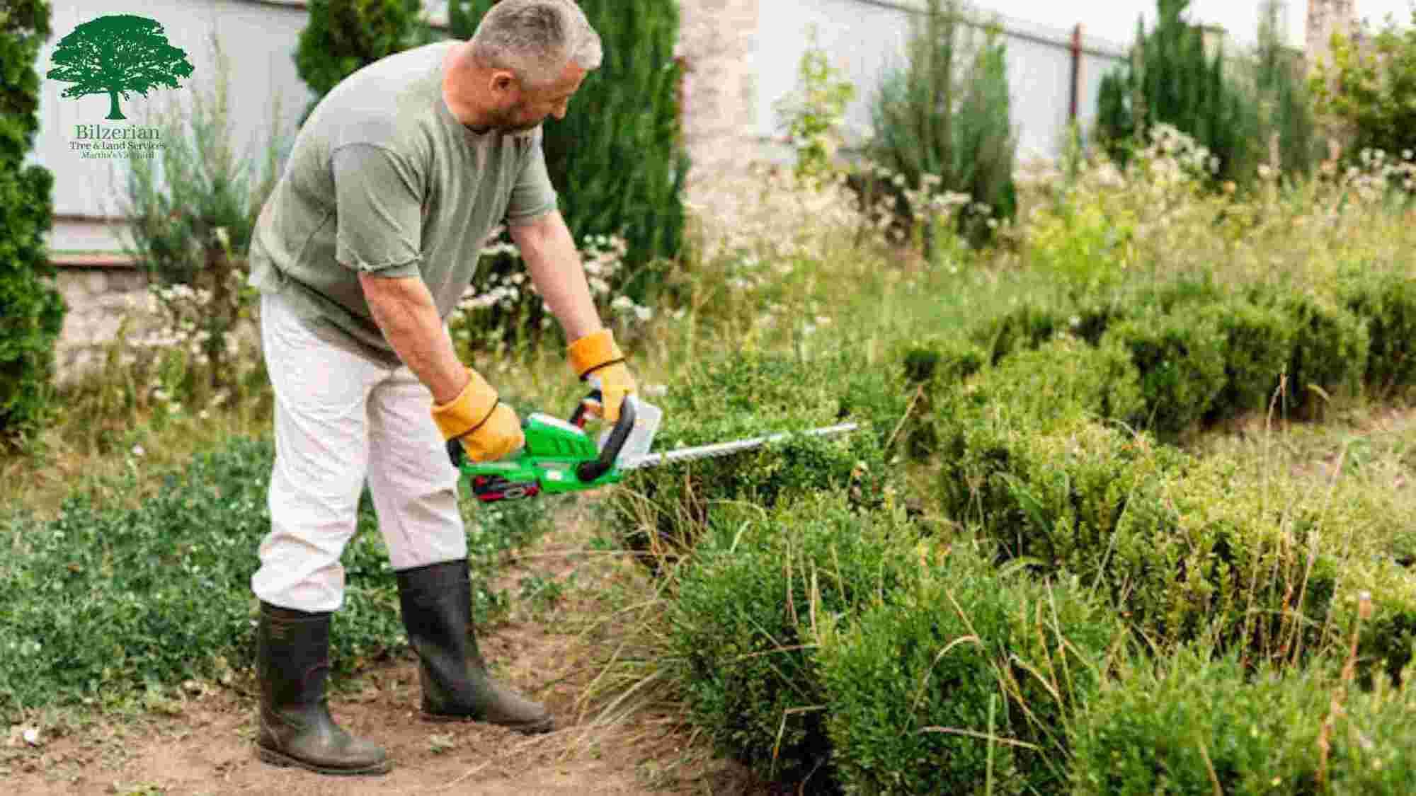 Your Guide to Getting the Best Lawn Care in Martha’s Vineyard