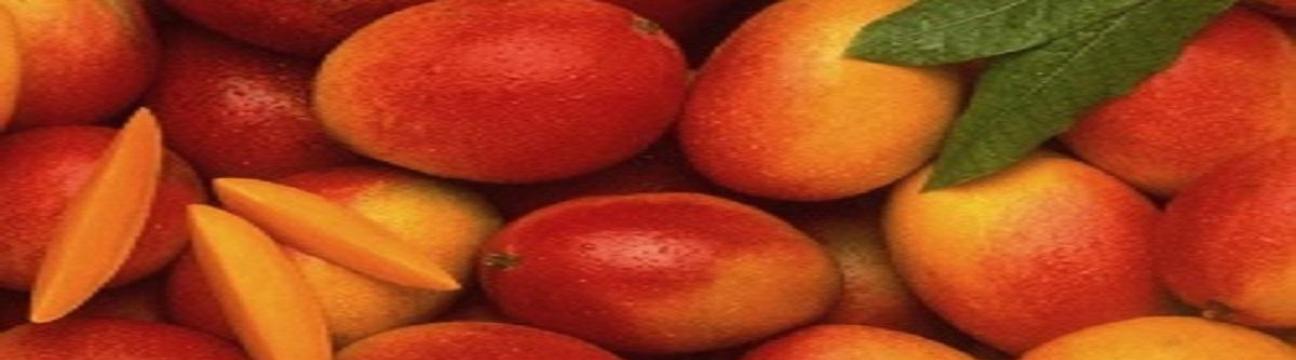 Dry Mango In Pakistan