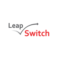 LeapSwitch Networks 