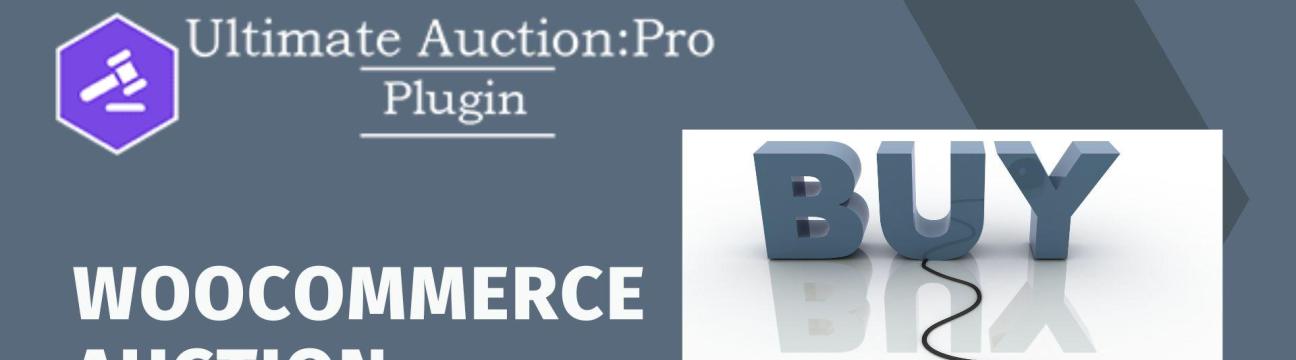 Auction Plugin Pro