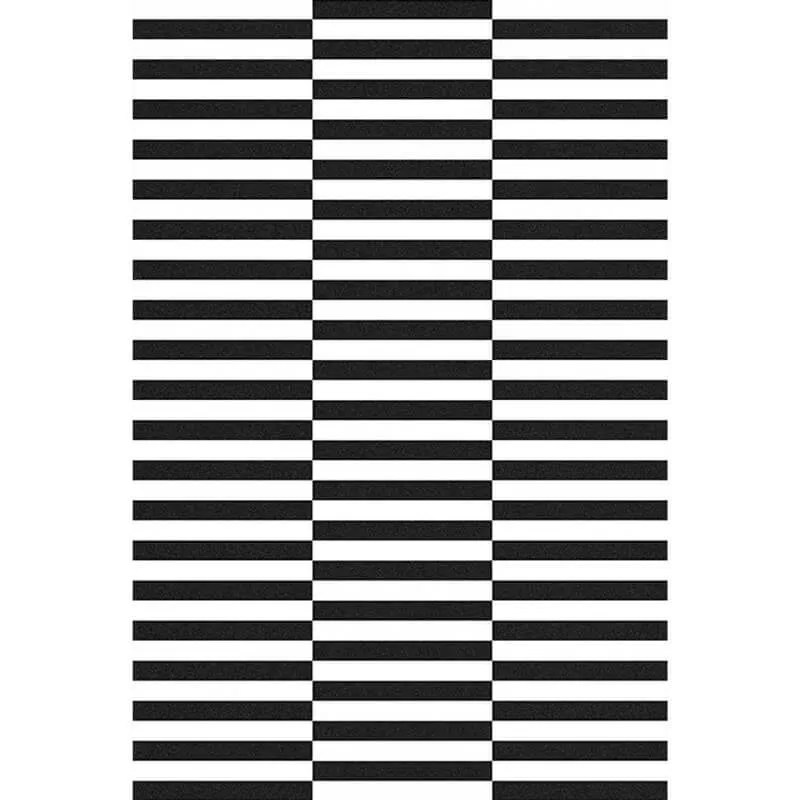 Unique Black and White Striped Rug Modern Design Carpet for Living Room - Warmly Home