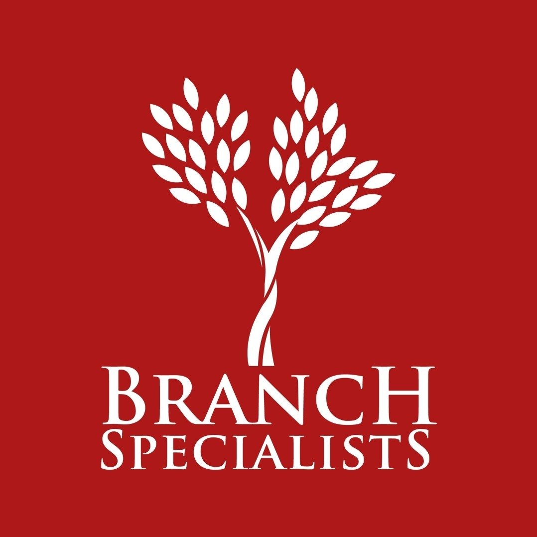 Branch Specialists Tree Service Buffalo NY | (716) 400 0763