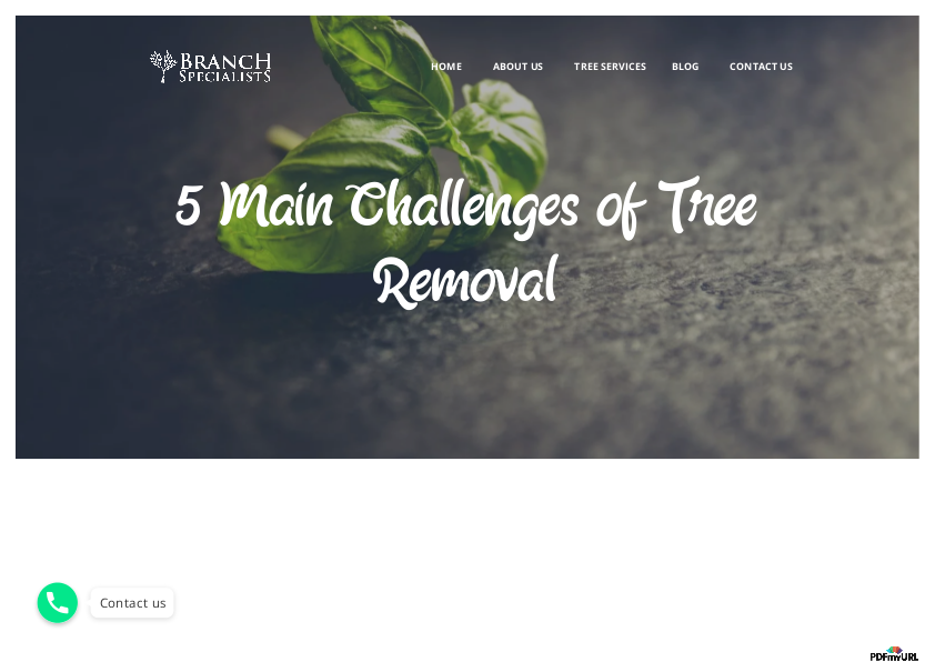 5 Main Challenges of Tree Removal