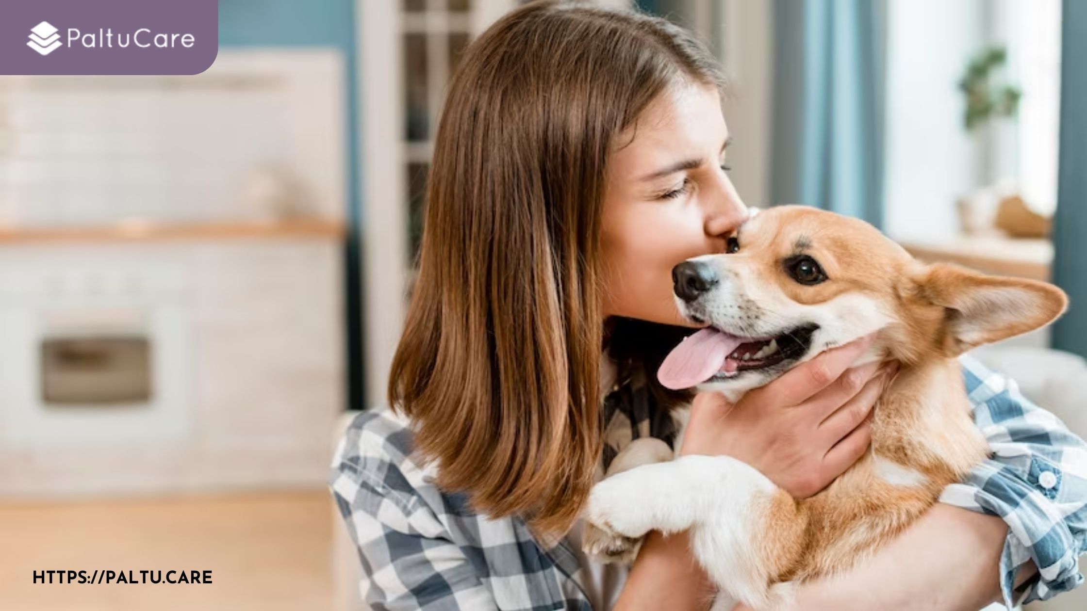 Things to Consider While Adopting a Dog: A Beginner's Guide - Paltu.Care - Your Trusted Pet Care Solutions in the UK