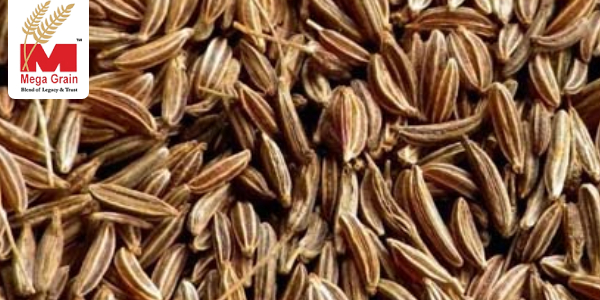 Caraway Seeds: Elevating Spice Excellence