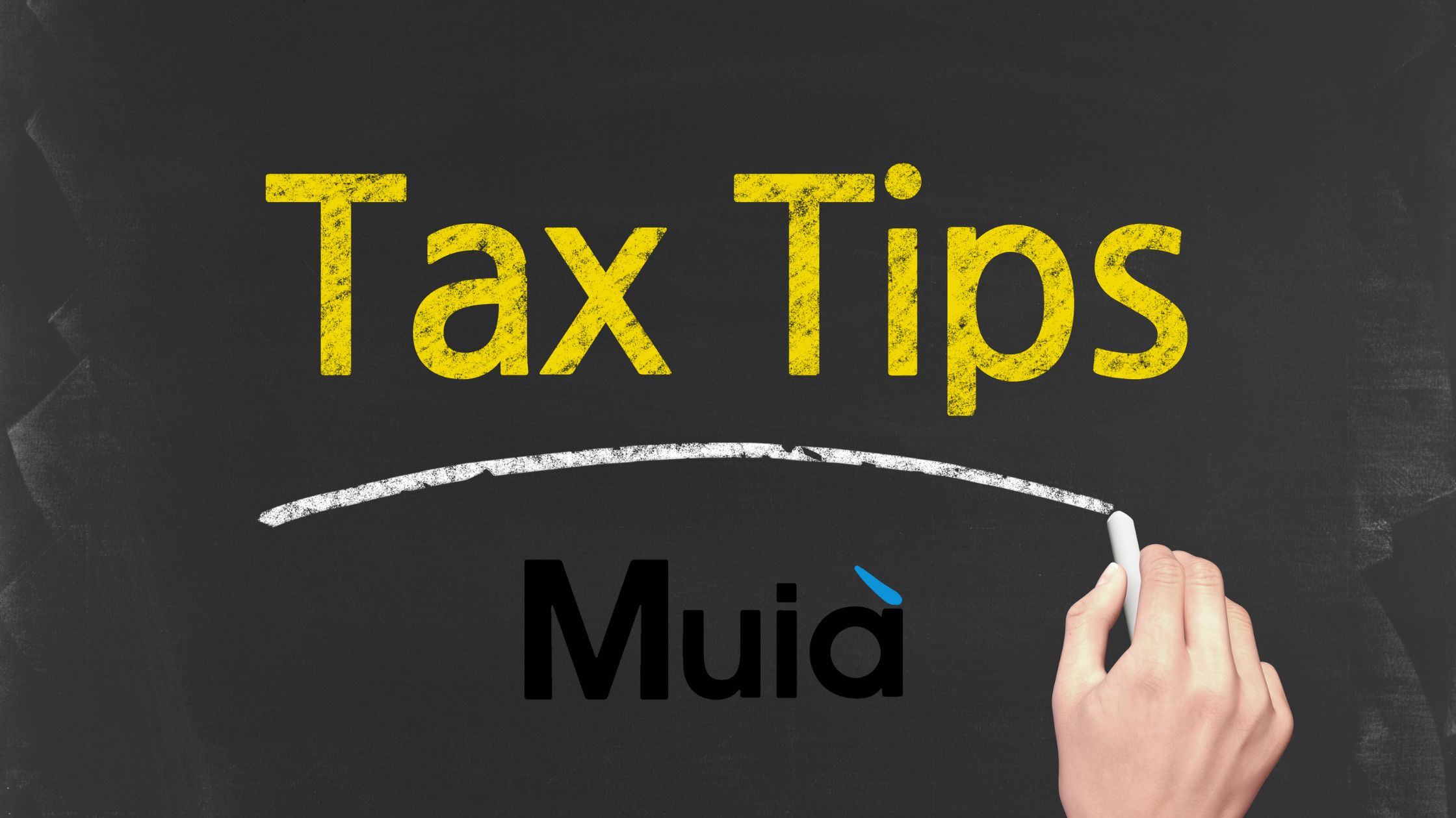 Tax Season for Businesses: Your Guide for 2024 - MUIA Consulting