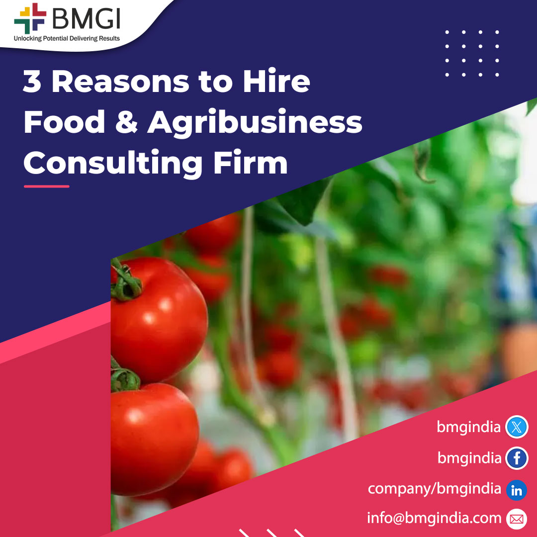 3 Reasons to Hire Food & Agribusiness Consulting Firm