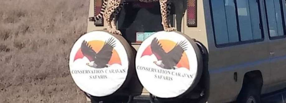 Conservation Caravan Safaris Cover Image