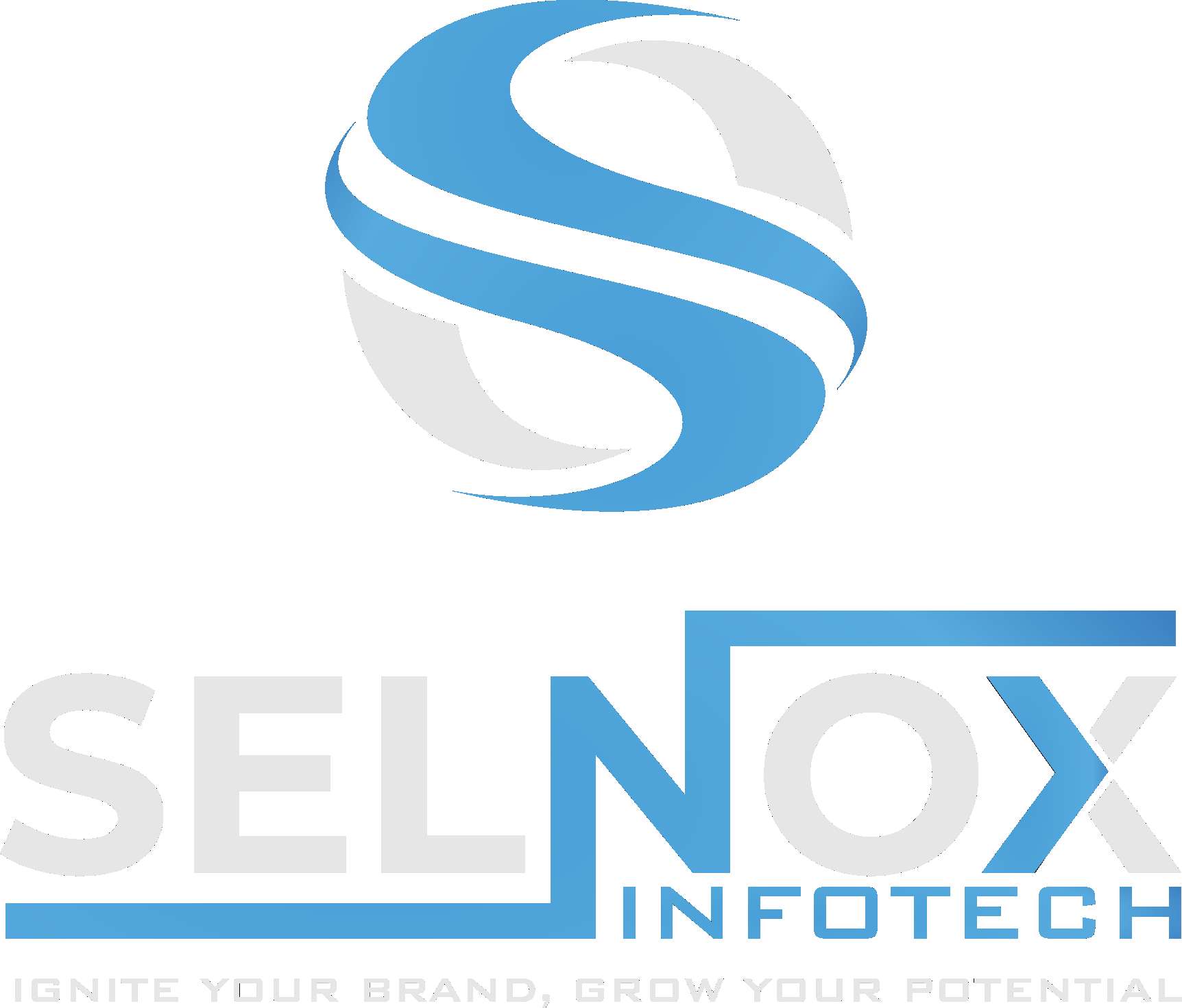 Selnox Infotech Profile Picture