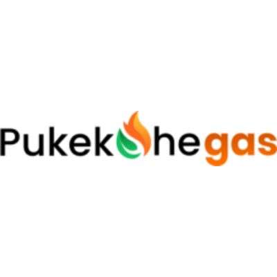 Pukekohe Gas Profile Picture