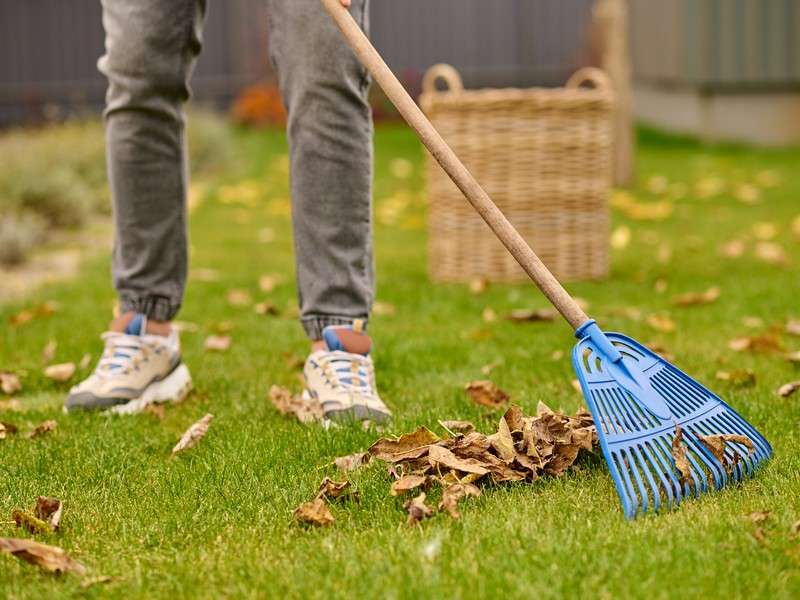 Commercial & Contract Gardening Services | Western Suburbs