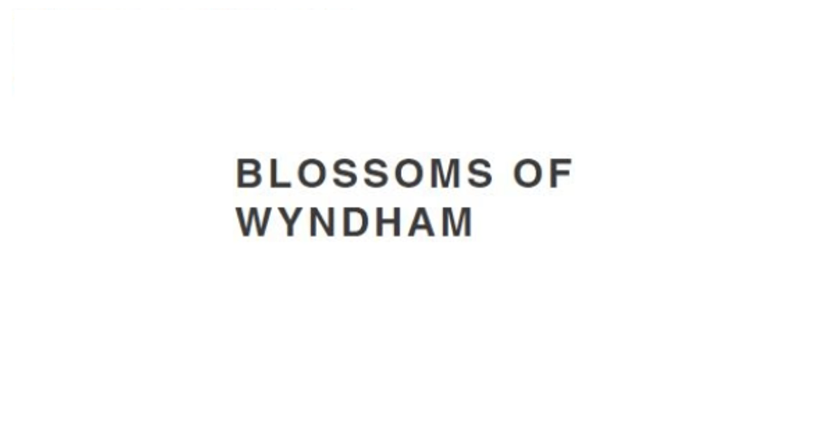 Blossom of Wyndham - Tarneit VIC, florist | about.me