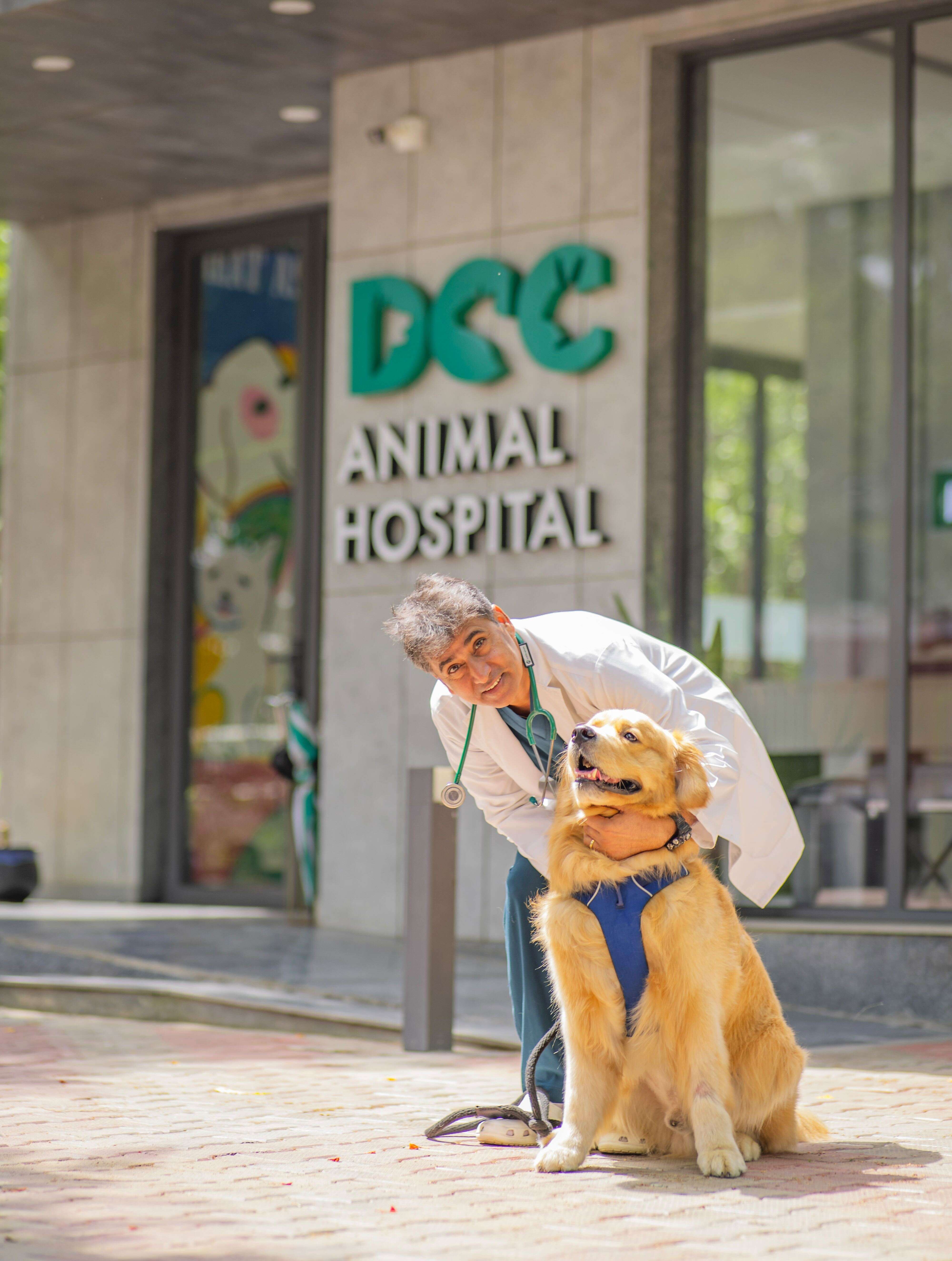 DCC Hospital Profile Picture