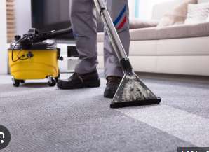 Professional Area Rug Cleaning Miami Profile Picture