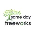 Same Day Tree Works Profile Picture