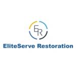 Elite Serve Restoration Profile Picture
