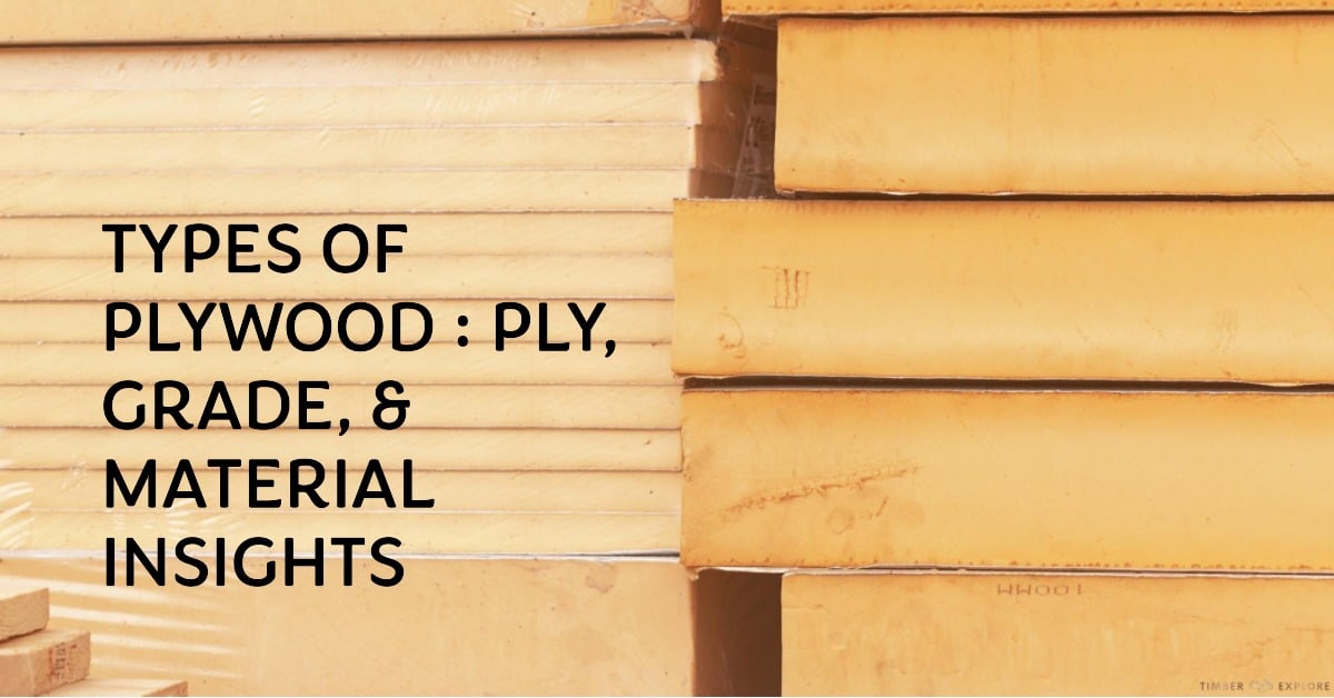 Delving into 12 Types of Plywood for Every Projects