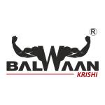 Balwaan Krishi Profile Picture
