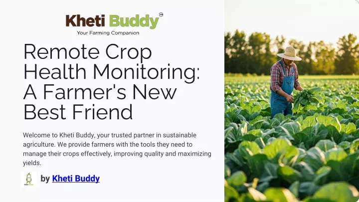 PPT - Remote Crop Health Monitoring A Farmers New Best Friend PowerPoint Presentation - ID:13347720