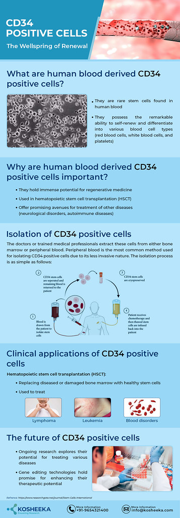 Kosheeka_25-06-2024 | CD34 positive cells, rare stem cells i… | Flickr