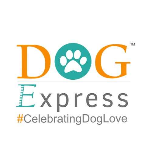 Dog Express Profile Picture