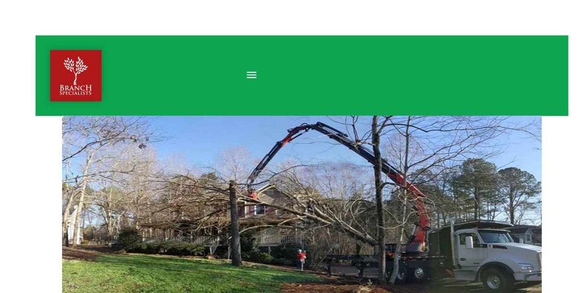 Branch Specialists Tree Service Buffalo NY