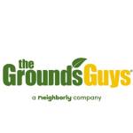 The Grounds Guys of Amarillo Profile Picture