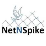 Net N Spike Profile Picture