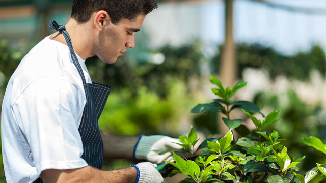 Reliable Commercial Contract Gardening Solutions