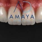 amya dental Profile Picture