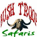 Bushtroop Tours & Safaris Profile Picture