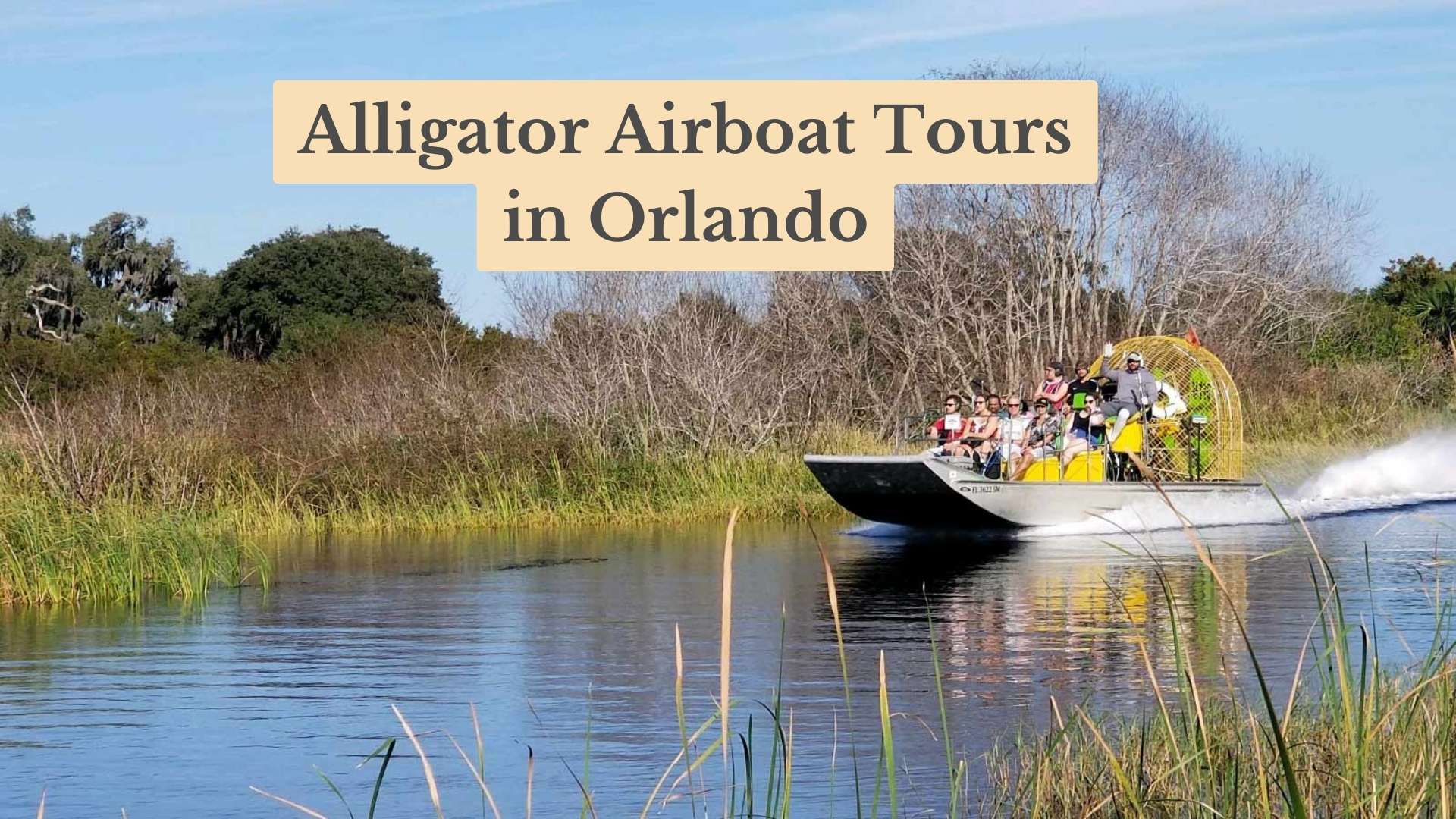 7 Best Alligator Airboat Tours in Orlando, Florida: Wild Willy's Rides