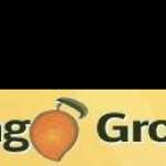 Mango Grove profile picture