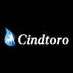 Cindtoro Profile Picture