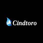 Cindtoro Profile Picture