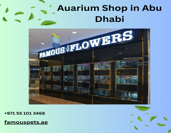 How to Find the Best and Reliable Aquarium Shop in Abu Dhabi | TheAmberPost