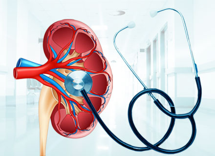 Kailash Hospital Greater Noida: Leading Kidney Specialist and Hospital