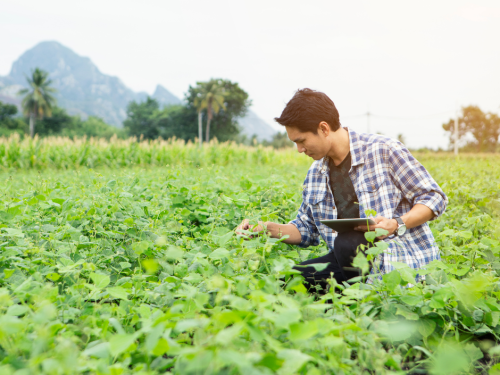 Maximizing Efficiency with Precision Farming Software