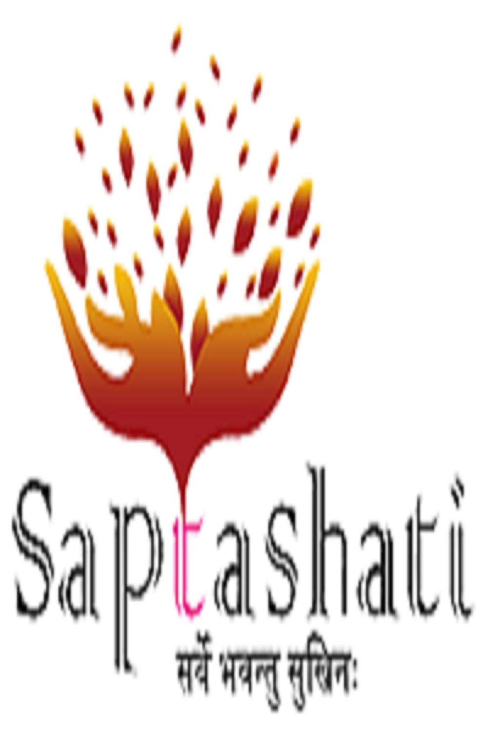 Saptashati Foundation Profile Picture