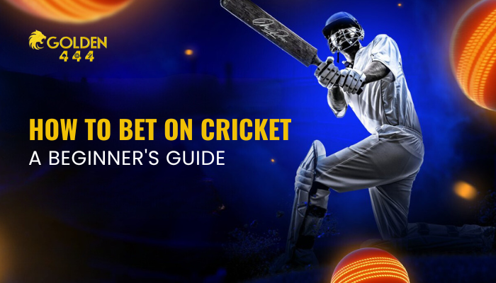 How to Bet on Cricket: A Step-by-Step Guide – A4Everyone