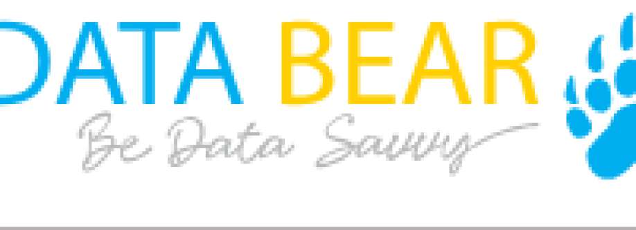 Data Bear Cover Image