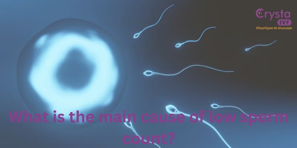 What is the main cause of low sperm count?    Tryi..