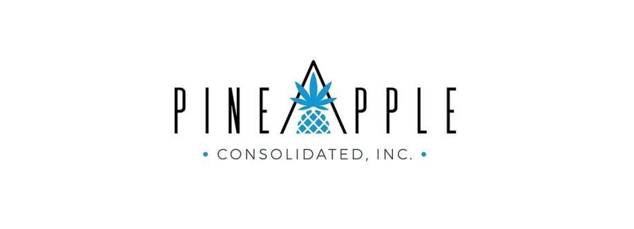 Pineapple Consolidated Cover Image