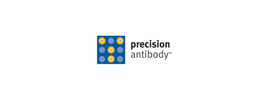 Precision Antibody Cover Image